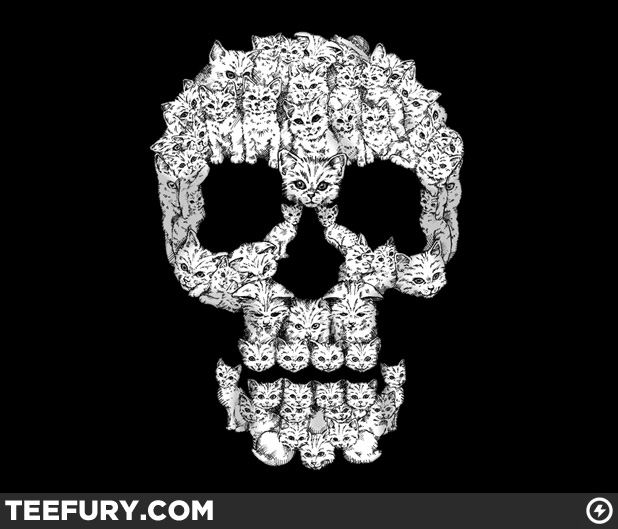Skull Cat Image