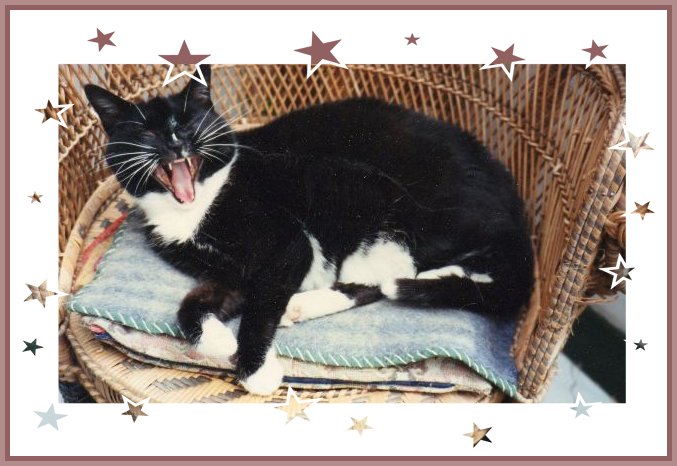 Taree Yawning