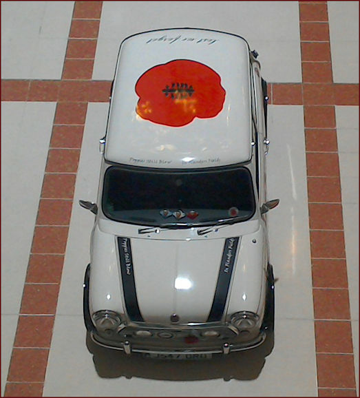 Mini with Poppy livery fund raising