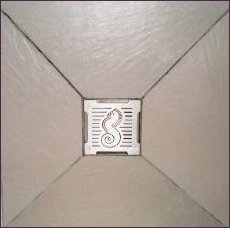 Shower drain