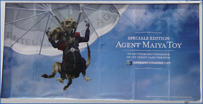 Agent Maiya parachuting