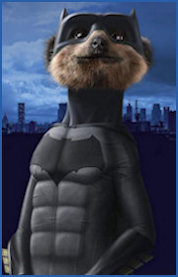 Aleksandr as Batman