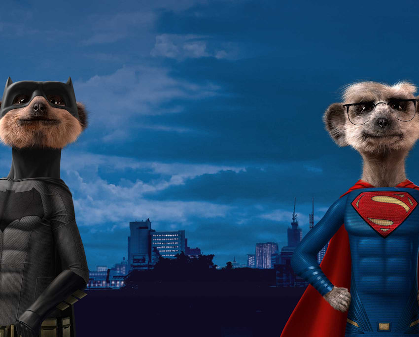 Super and Bat Meerkats
