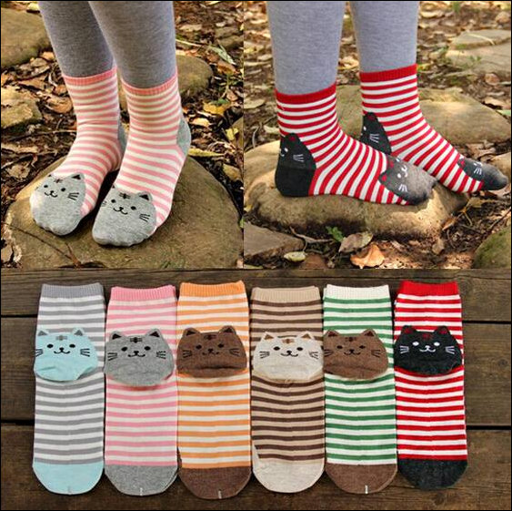 Cats on Socks
