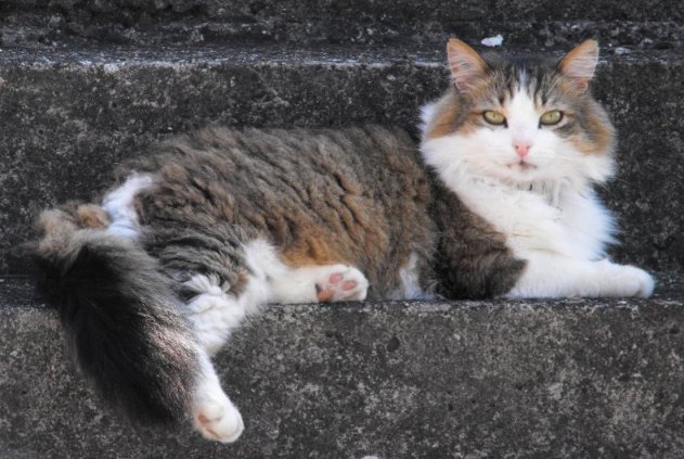 Pouchkine on the steps