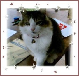 Puchkine Portrait