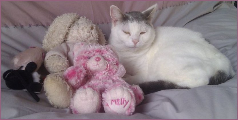 Tink and friends