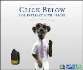 Sergei Interactive