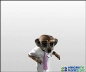 Sergei Interactive 3