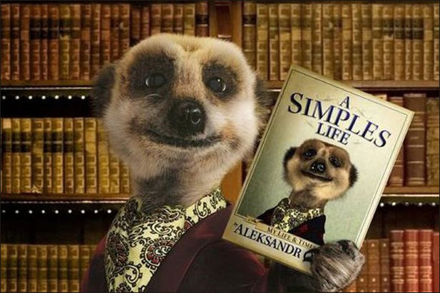 Original Aleksandre Meerkat Book A Simples Life