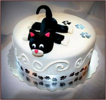 Cat Iced Cake