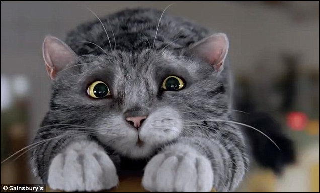 Mog tries to escape the chaos of the kitchen