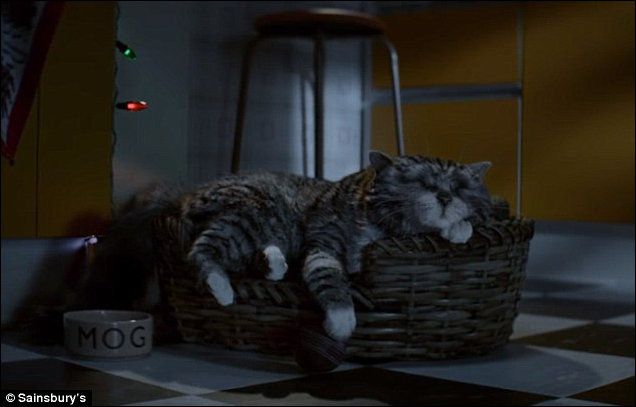 Mog has a nightmare while asleep in the kitchen 
