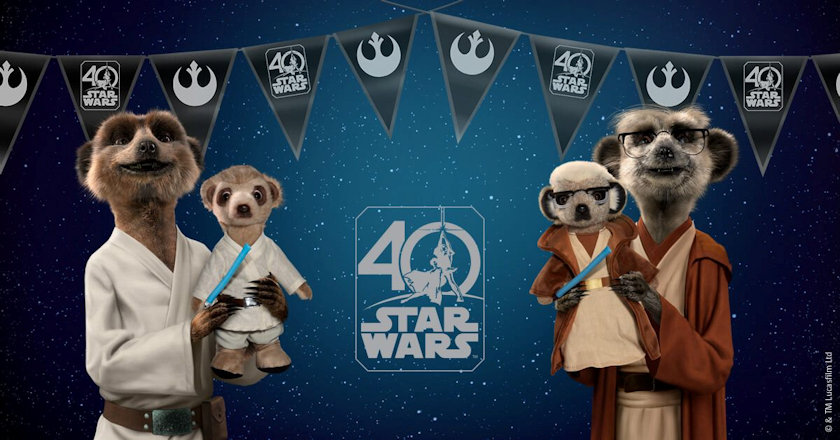 Meerkats as Star War Heroes and toys