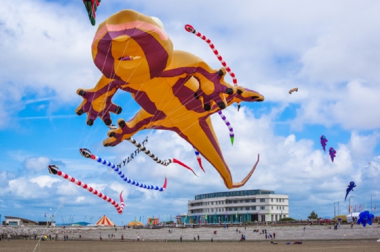 Kites at the Midland