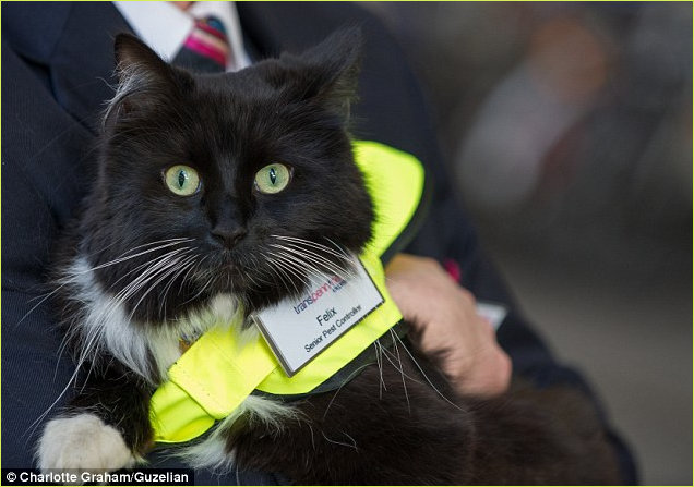 Felix in her hi-viz jacket and name tag