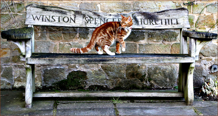 Churchill memorial bench