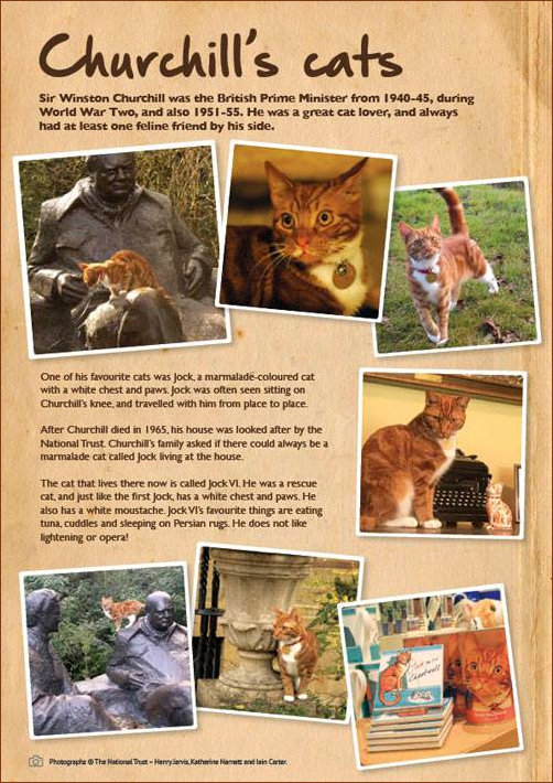 Winston Churchill's Cats