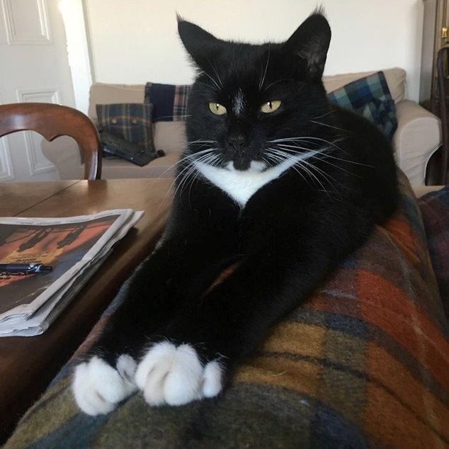 Captain in repose