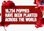 New Tower Poppy Initiative