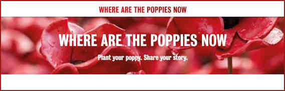 New Tower Poppy Initiative 2017