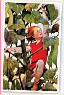 Jack and the Beanstalk