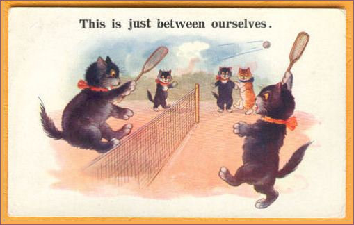 Cats performing a smash at the net