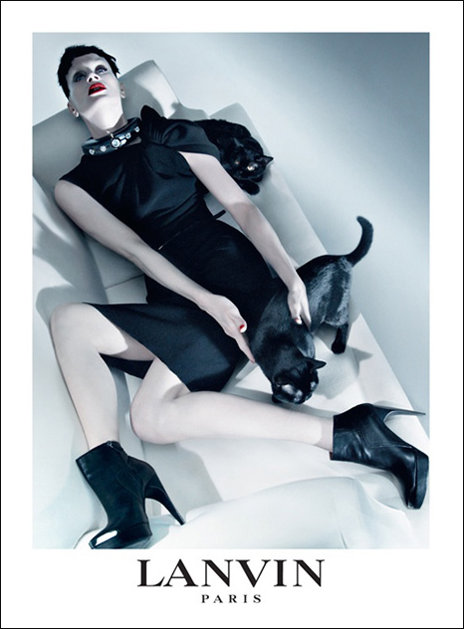 Modern take on Lanvin Paris using real black cats