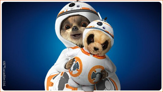 Baby Oleg as BB8