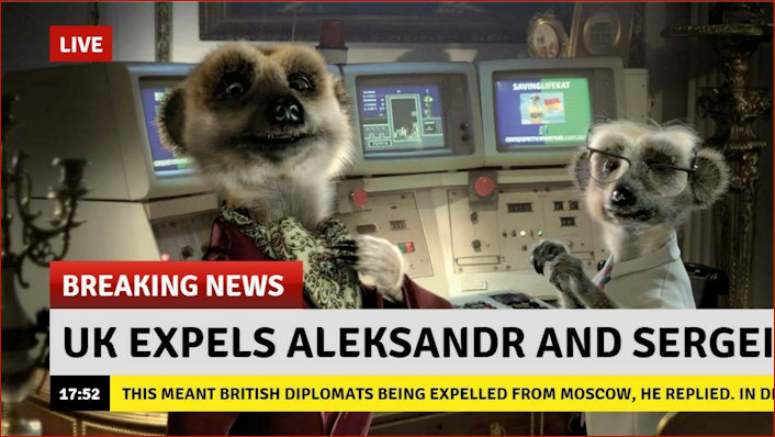 Meerkat Spoof