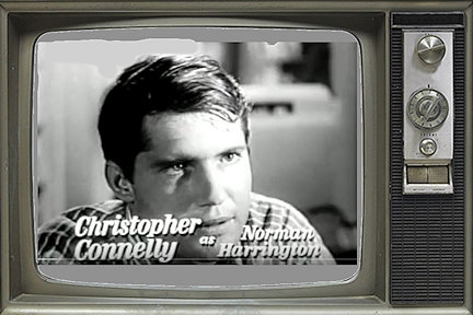 Christopher Connelley as Notman Harrington