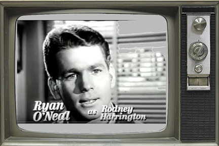 Peyton Place Rodney credit