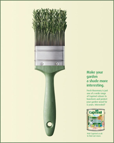 Rosemary Brush