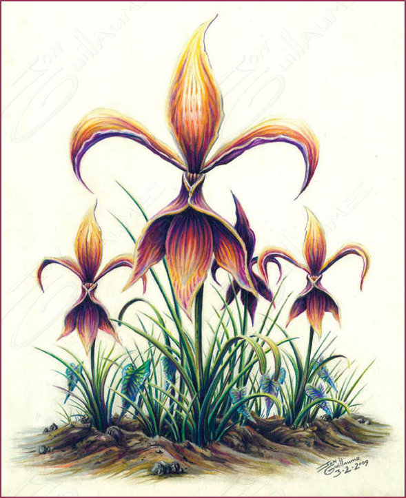Natural Fleur de Lys