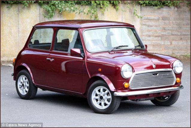 The Mini 30