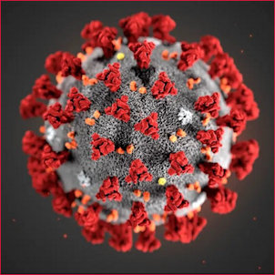 Image of the Covid-19 virus