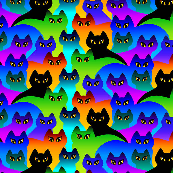 Rainbow Cats by Dan Morris 