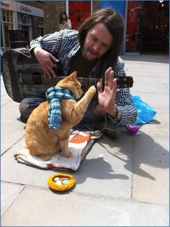 Bob the cat high fives