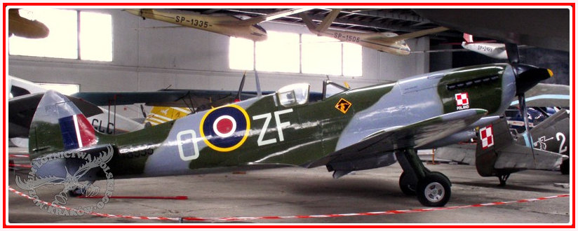 308 Spitfire in 308 and Poland Livery