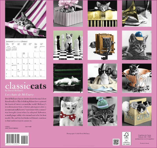 David McEnery's Classic Cats