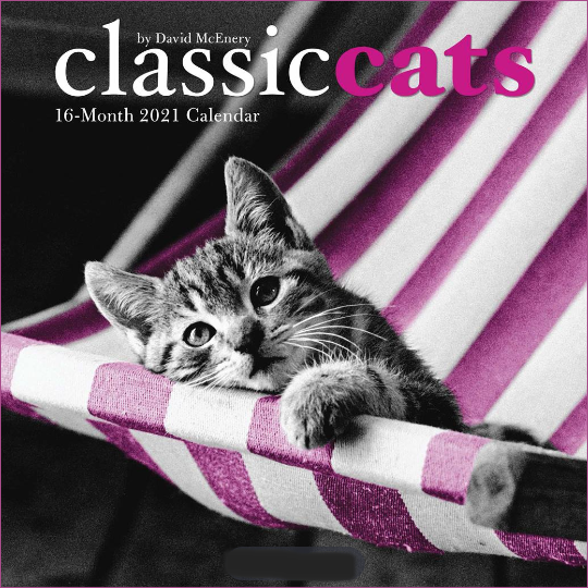 McEnery's 2021 Cat Calendar