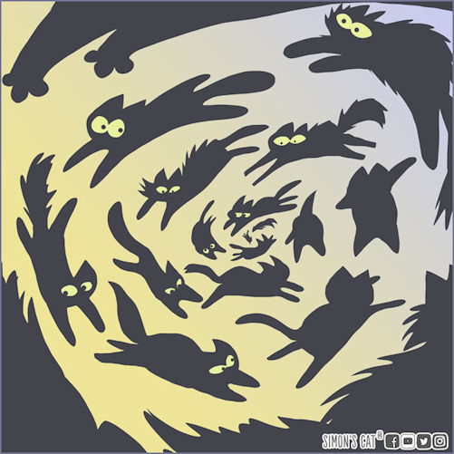 Black Cat Appreciation Day 2020