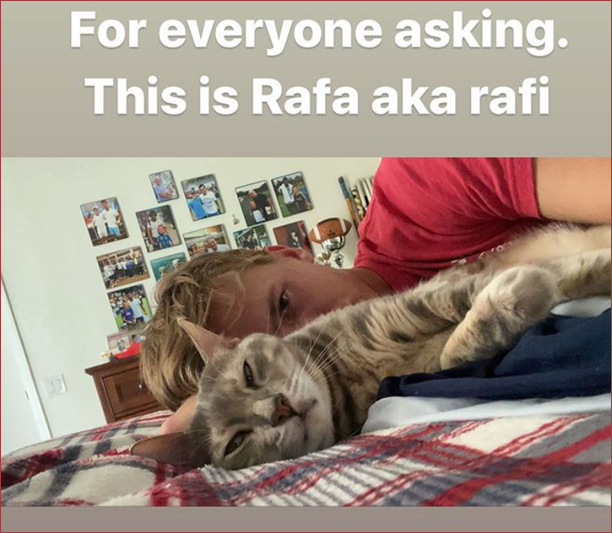 A cat called Rafa