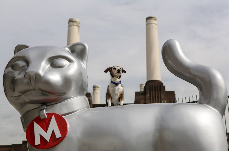 Battersea Cats and Dogs Home
