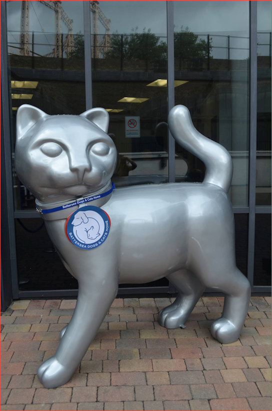 Monopoly Cat Sporting his new livery