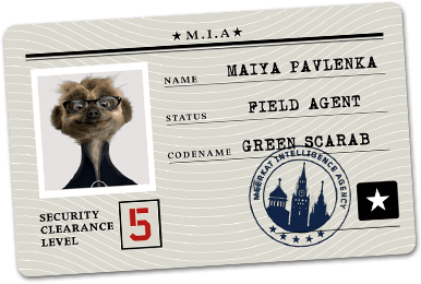 Secret ID Card