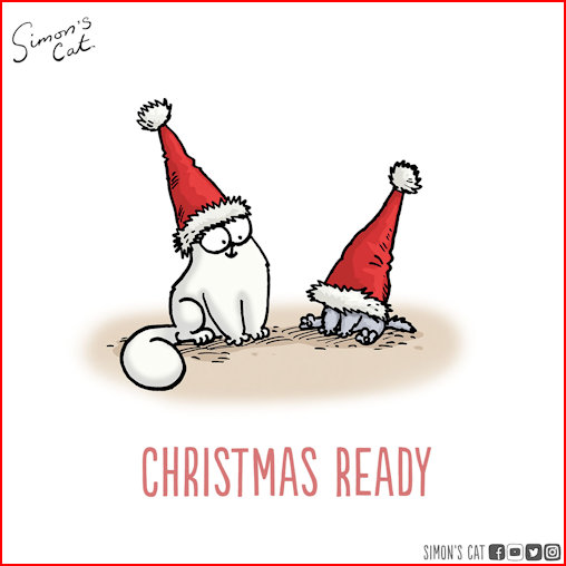 Simons Cat