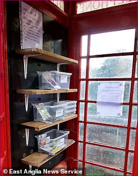 Kiosk turned into seed bed