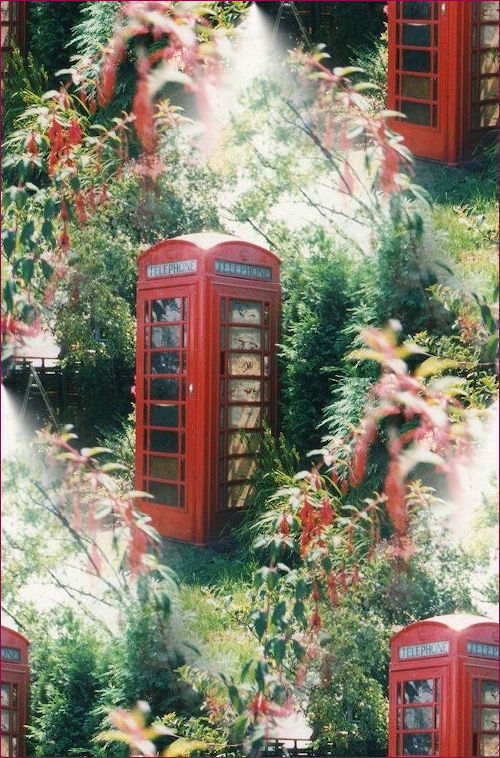 My favourite picture of El Tel in the Garden