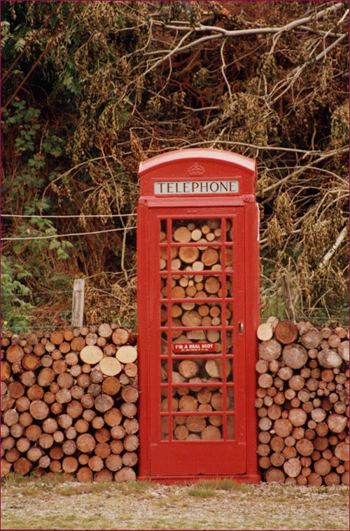 A kiosk full of freshly sawn logs